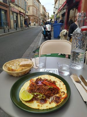 Jackfruit and beans taco. In the distance, a dog looks on longingly. at Bloomy in Toulouse