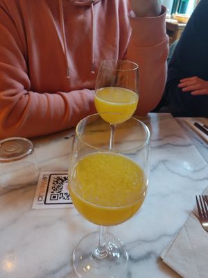 Mimosa at Bloomy in Toulouse