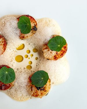  at Bloomy in Toulouse