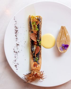  at Bloomy in Toulouse