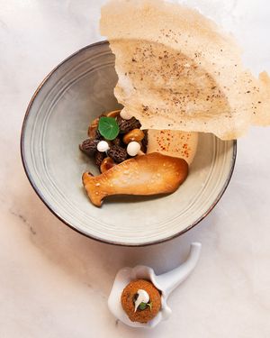  at Bloomy in Toulouse