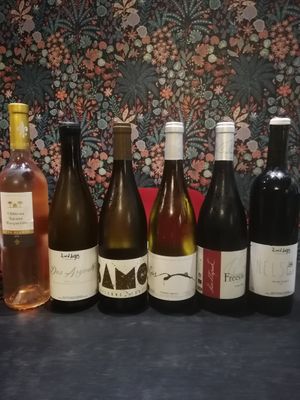 Wine Selection at Bloomy in Toulouse