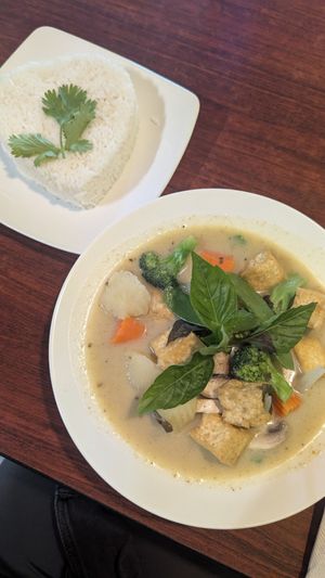 Green curry with tofu and white rice at Viet's Cuisine in Peachtree City