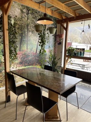 Environment   at Ginger's Garden Cafe in Springville