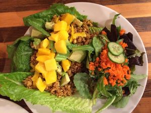 Raw tacos  at Ginger's Garden Cafe in Springville