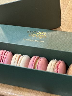   at Scoop 'n Dough in Lisbon