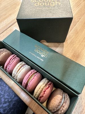   at Scoop 'n Dough in Lisbon