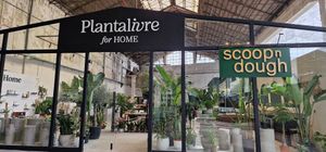  at Scoop 'n Dough in Lisbon