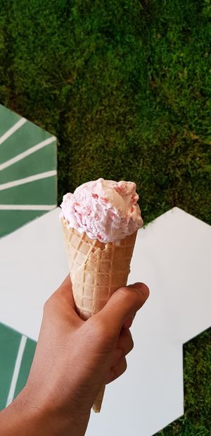 Vegan strawberries & cream at Scoop 'n Dough in Lisbon