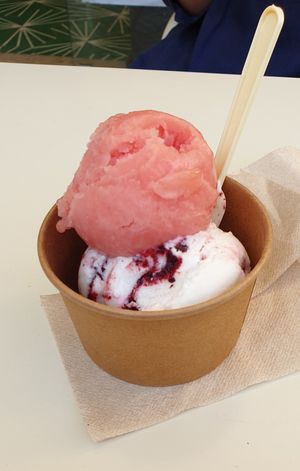 Watermelon sorbet and coconut with berries icecream at Scoop 'n Dough in Lisbon