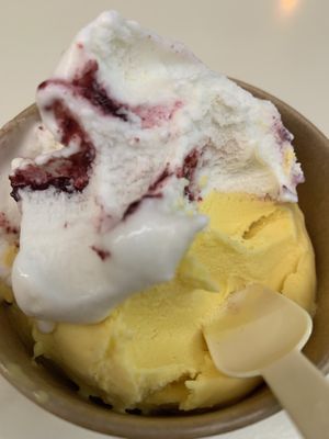 Blueberry / coconut and mango / coconut  at Scoop 'n Dough in Lisbon