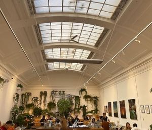   at Medicine in Birmingham