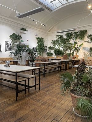   at Medicine in Birmingham