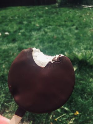 Mint ice cream bar  at Eat Me Ice Cream in Rochester