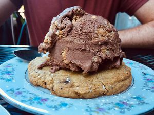 (Vegan) Chocolate Peanut Butter ice cream on a cookie from Red Fern😄  at Eat Me Ice Cream in Rochester