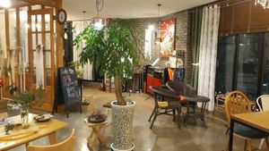 Interior.  Many plants! at Cafe 5nuel in Jeonju
