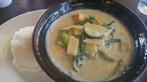 Vegan version of Green Curry included Thai eggplant and was perfect at 'medium heat'.  at Thai Basil in Meridian