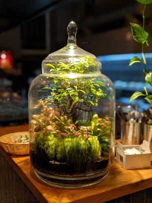 Nice atmosphere at The Future is Up to You in Berlin