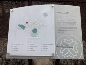   at True Nature Healing Arts Organic Cafe in Carbondale