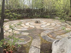   at True Nature Healing Arts Organic Cafe in Carbondale