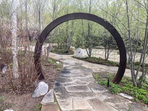   at True Nature Healing Arts Organic Cafe in Carbondale