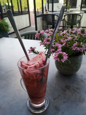 Wonderful sorbet at Het Wapen van Stellendam in Stellendam