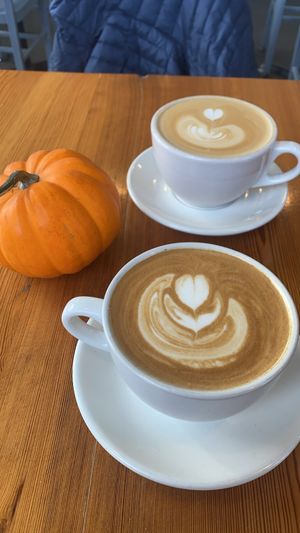 Oat milk lattee  at Full Stop Station in Louisville