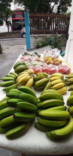 Feira agroecológica  at Plante Bistrô in Sao Paulo
