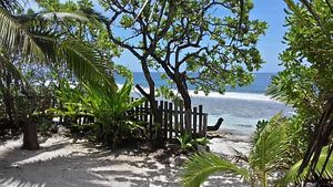 Good morning Pacific Ocean
View from the bungalow at  Art of Living in Moorea