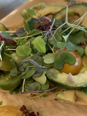 Herbivore flatbread 👎 at Brass Bowl in St Petersburg