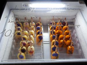 Icecream at Holi in Zamosc