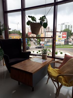 Inside at Holi in Zamosc