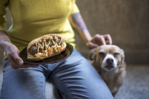 Not Dogs at Posta in Sofia