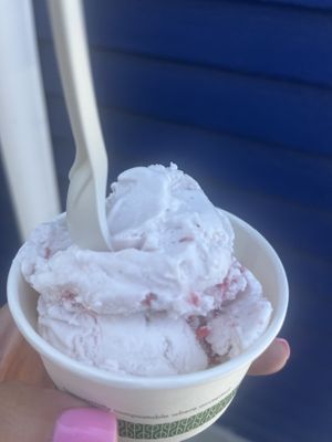 Vegan Strawberry  at The Ice Box in Brooklyn