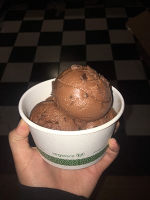 Vegan chocolate chocolate chip at The Ice Box in Brooklyn