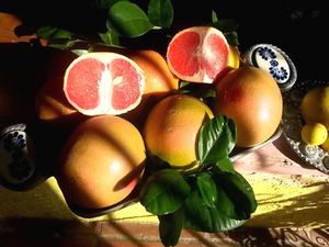 Grapefruits from the trees outside at Loft on a Lake in Brownsville