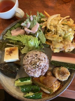 Daily set lunch plate at Farmer's Cafe Project in Tokyo