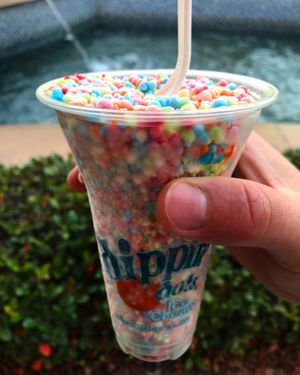 Rainbow Ice at Dippin' Dots in Panama City Beach