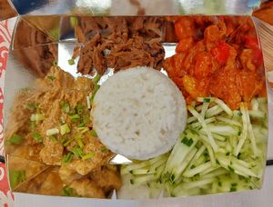 Vegan rendang, jackfruit adobo, caldreta and cucumber side salad 😋💜 at The Real Happy Cow in Metro Manila