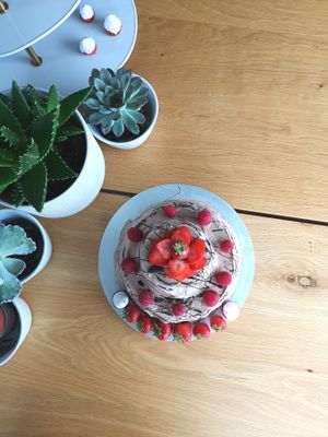 Moist chocolate cake at Bønnespiren in Stavanger