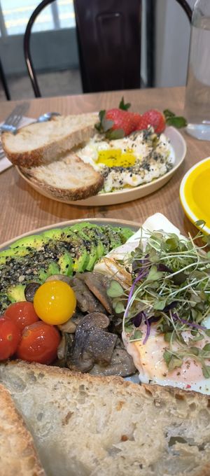  at Urbano Specialty Coffee in Madrid