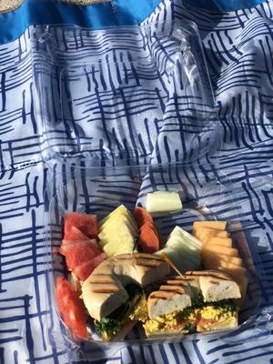 Egg and bacon bagel 🤤🌱🥯 at The Grain Cafe in Redondo Beach