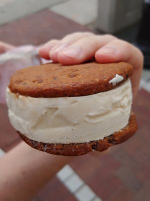 Vegan Ice Cream Sandwiches: Vanilla Bean, not bad, refreshing on a hot day. Probably wouldn't splurge again. Cookie part wasn't to our liking at HeyO Eats in Mountain View