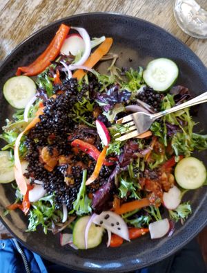 French Lentil Salad at Blacksmith in Berlin