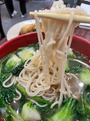 super fresh noodles!!! at The Handpulled Noodle in New York City