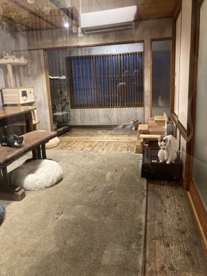 One of the play areas   at Neu Cat Cafe in Osaka