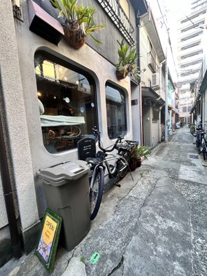   at Neu Cat Cafe in Osaka