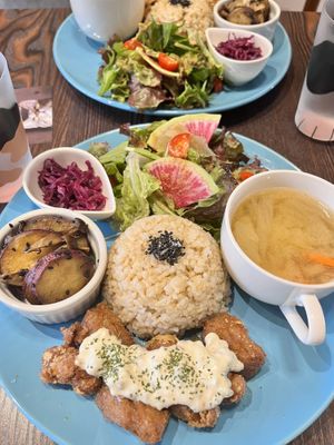   at Neu Cat Cafe in Osaka