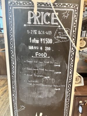   at Neu Cat Cafe in Osaka