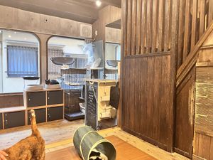   at Neu Cat Cafe in Osaka